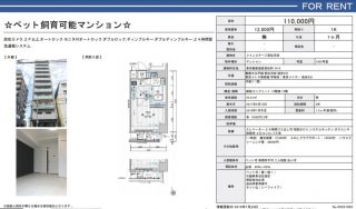 水商売賃貸　MS若松河田　1K　募集図面