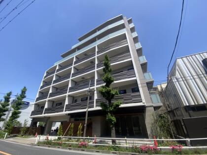 レスピール蓮根